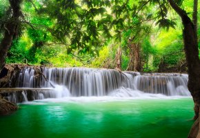 waterfall, river, flow, emerald, water, forest, 