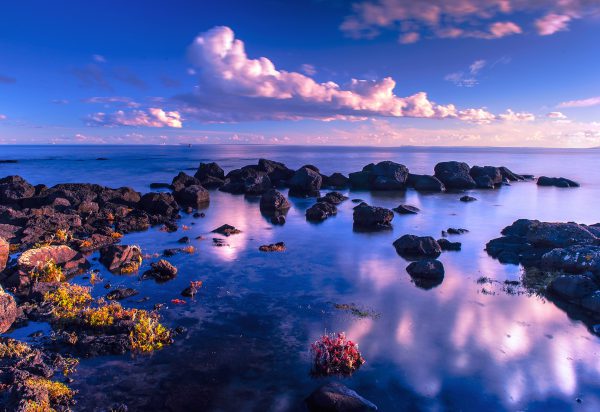 Обои картинки фото море, камни, облака, мох, горизонт
