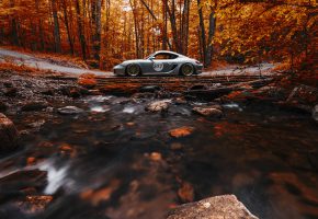  Porsche, Cayman, Stance, Works, Forest, Orange, Side, View