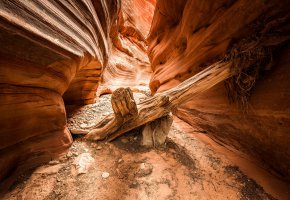  Red Canyon, , , , 