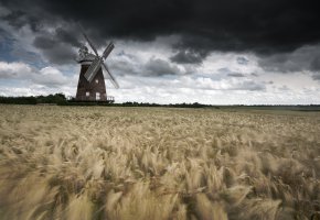  wheat, windmill, storm, , , 