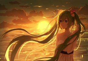  , , , ,  , girl, look, anime, hair, hatsune miku