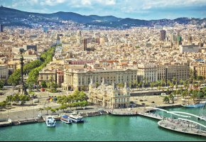 ���� ���������, �������, ���������