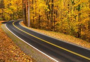 ���� ����, ������, �������, ������, �����, �����, ������ ����