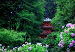  Japan, , 