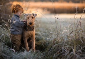 ���� �������, ���, �������