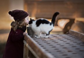 ���� �������, ������, ����