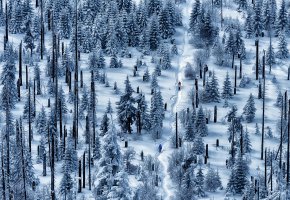 ���� ���, ����, �������