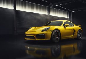 ���� Porsche, GT4, Porsche 718, porsche 718 gt4